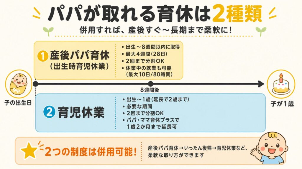 パパが取れる育休2種類(産後パパ育休・育児休業)の取得時期と期間を示した比較図