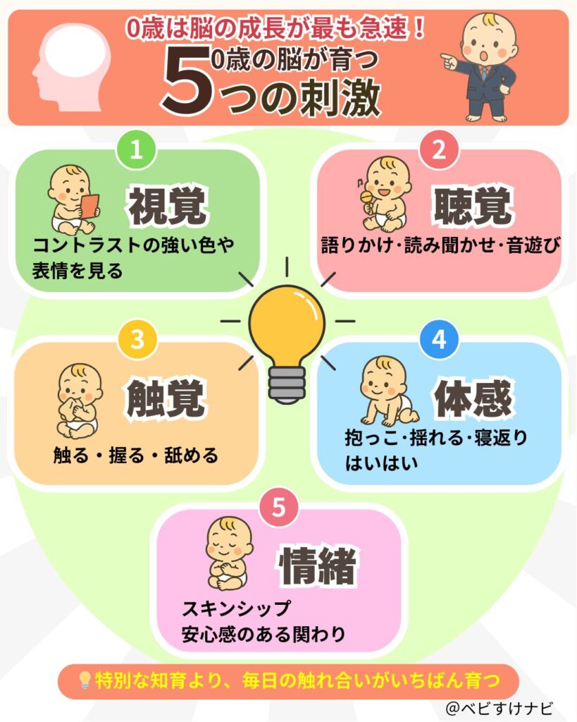 0歳の脳を育てる刺激:視覚・聴覚・触覚・体感・情緒の5つ