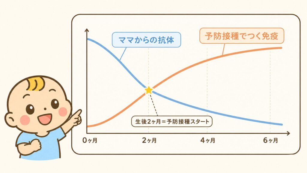 赤ちゃんの移行抗体が減少するタイミングと予防接種開始時期を示した図解