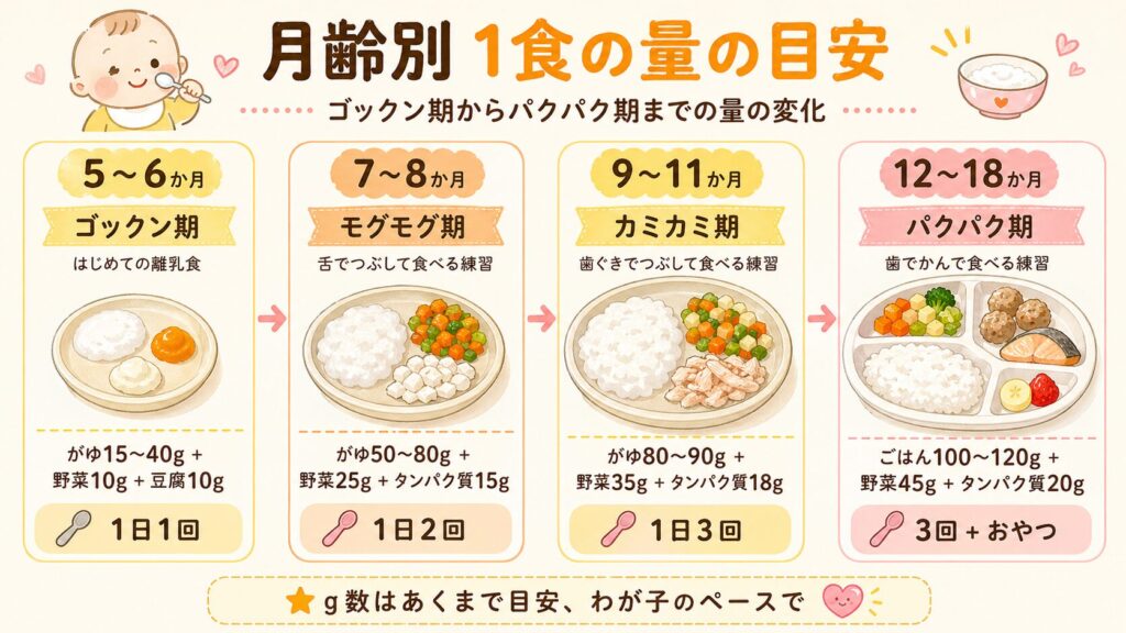 月齢別の離乳食1食あたりの量の目安をグラフで示した図解