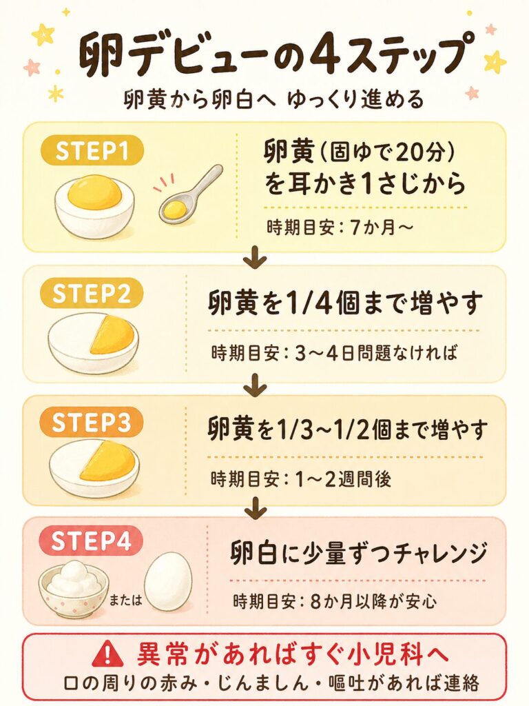 卵デビューの進め方 卵黄から卵白へ段階的に進む手順を示した図解