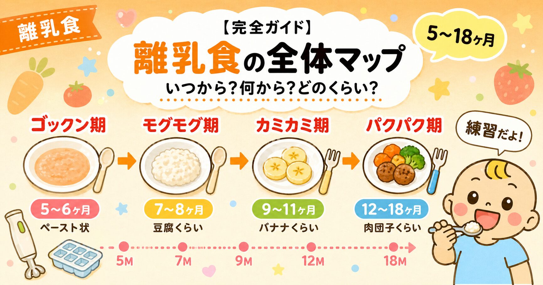 離乳食の全体マップ｜ゴックン期・モグモグ期・カミカミ期・パクパク期の4ステージを図解