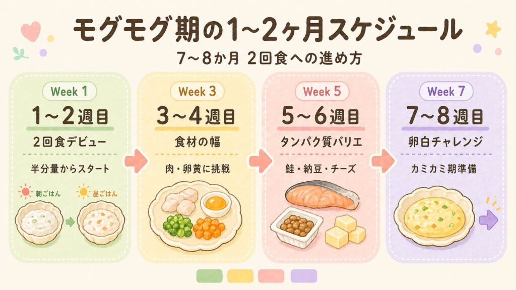 モグモグ期1〜2ヶ月のスケジュール 2回食への移行から食材バリエーション拡大までの進め方マップ