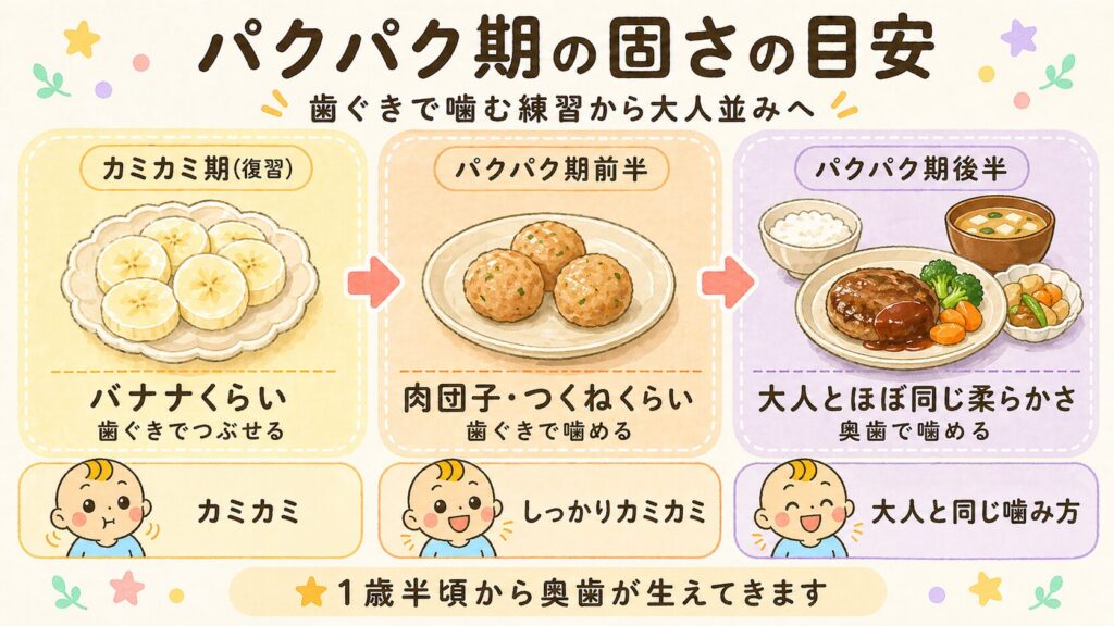 パクパク期の固さの変化を月齢ごとに食材で例えたイラスト図解