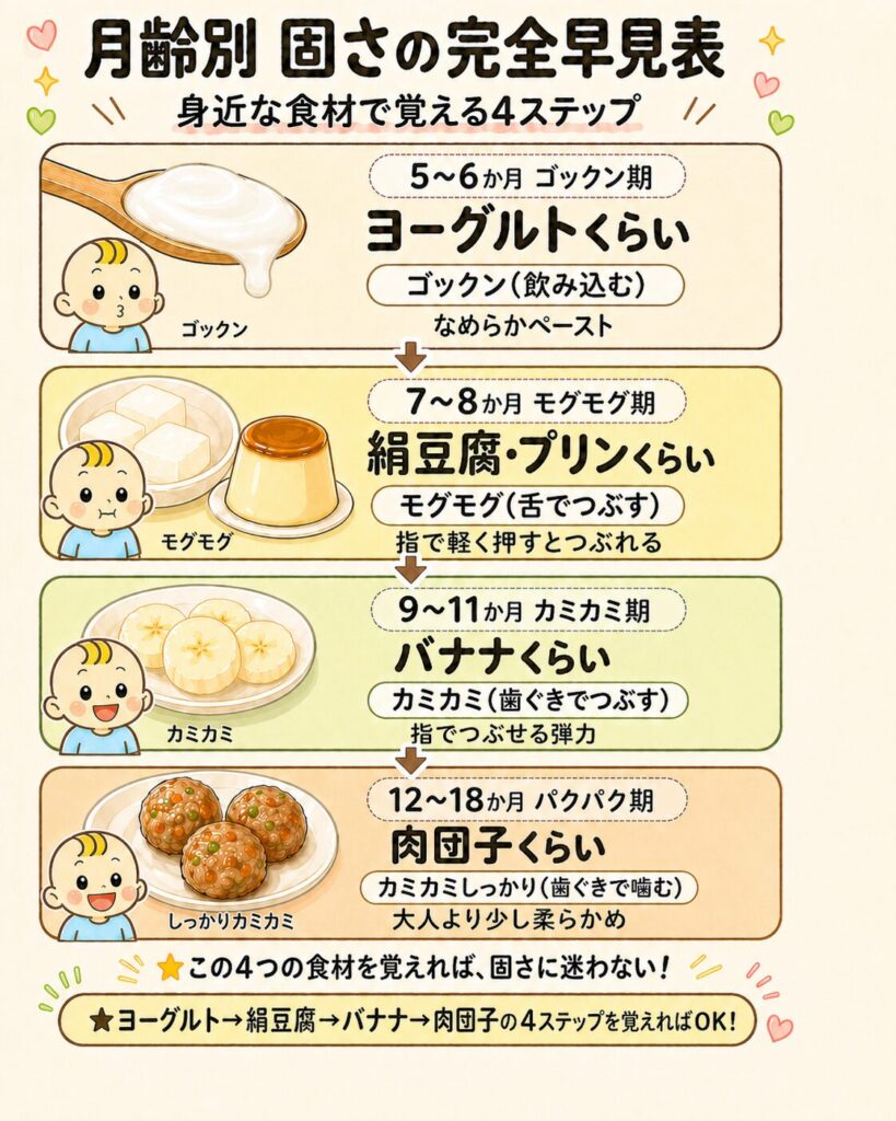 月齢別の離乳食の固さの目安を身近な食材で表現した完全早見表の図解
