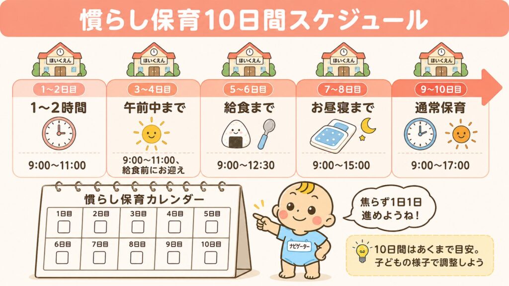 らし保育10日間の標準スケジュールを時系列で示した図解
挿入位置