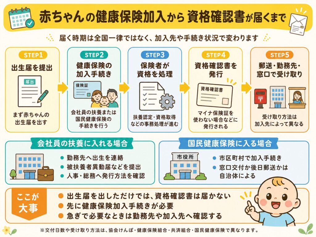 赤ちゃんの健康保険加入手続きから資格確認書が届くまでの流れをまとめた図解